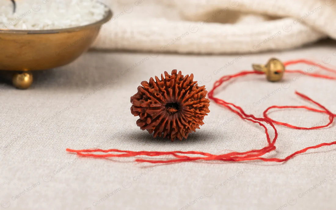 How to Choose the Right Rudraksha for You – A Beginner’s Guide