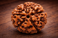 5 Mukhi Nepali Rudraksha