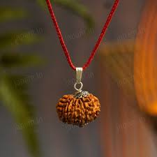 Nepali Rudraksha