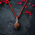Har Ghar Mein Rudraksha - Claim Your Free 5 Mukhi Rudraksha
